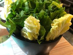 -探窝·竹笙椰子鸡(杨箕店)