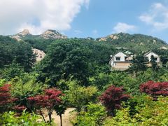 -青岛崂山太清宫
