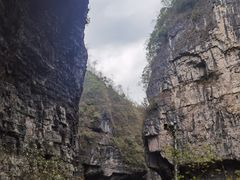-鹿院坪生态旅游景区