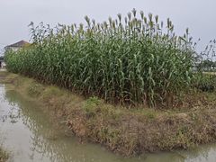 -乡乐园蟹庄·阳澄湖农家乐