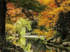 -共青国家森林公园-售票处