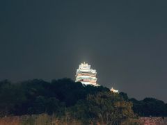 -七欣天香辣蟹火锅(南京建宁路大观天地店)