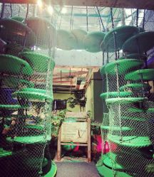 -恐龙探索乐园(磁器口店)