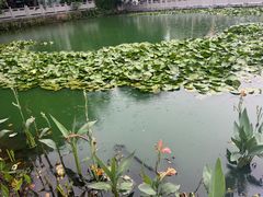 -黄埔古港