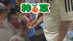 -酷嗒动物文化乐园(cutezoo西溪乐天城店)