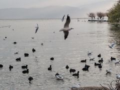 -西昌邛海湾柏樾酒店(原邛海湾柏栎度假酒店)