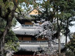 -龙华寺