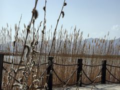 -野鸭湖国家湿地公园