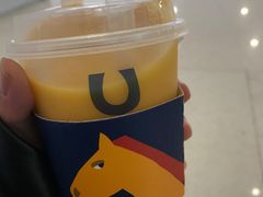 芒果卡酪-春丽小马(济南恒隆广场店)