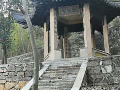 -镇江市南山风景名胜区竹林景区