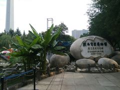 -陕西自然博物馆