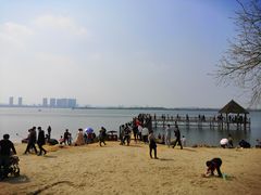 -瑶湖郊野森林公园