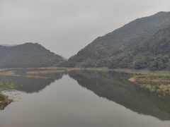 -四明山国家森林公园