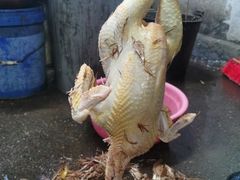 -黄家菜园农庄