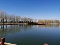 -东郊湿地公园