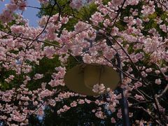 -静安雕塑公园