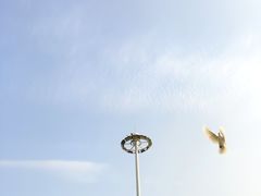 -白鹭洲公园
