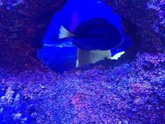 -沈阳海洋探索中心