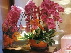 -喜湘宴·精致湖南菜(和平西桥店)