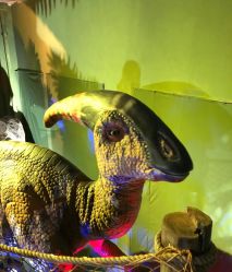 -恐龙探索乐园(磁器口店)