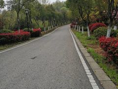 -羊山湖公园