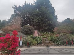 -乌山风景区