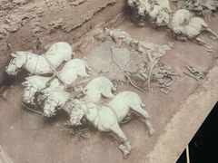 -秦始皇帝陵博物院-丽山园