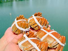 -君豪蟹都·湖景·农家乐(蟹舫苑店)