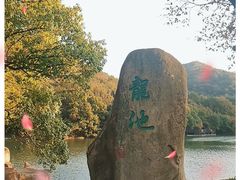 -白马涧龙池景区