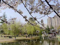 -堤角公园
