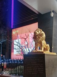 -中国黄金(北京旗舰店)