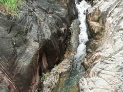 -广州白江湖森林公园