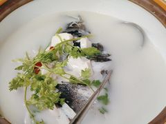 -宝荣鱼馆·临湖之宴(千岛湖店)