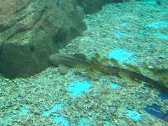 -波塞冬旅游度假区