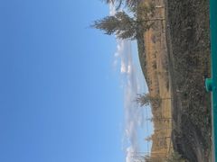 -御道口草原森林风景区