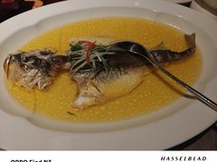 -秀儿四九城·新京菜(亚运村鸟巢店)