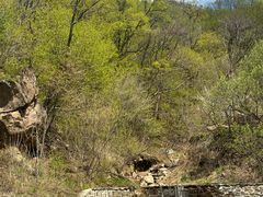 -五家山森林公园滑雪场