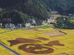 -万峰林风景区