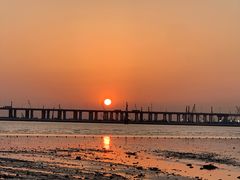 -宝安西湾红树林湿地公园