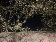 -幕燕滨江·燕子矶公园