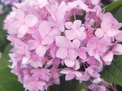 -木洞河街
