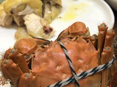 -新虹楼饭庄(崇明陈家镇店)