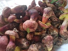 -双喜农庄·菌香园(安居家园店)