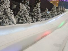 -世界之窗阿尔卑斯冰雪世界
