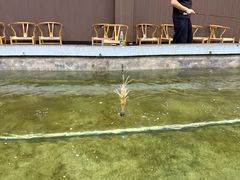 -光头佬室内钓虾场·烧烤·团建·亲子(中山八路店)