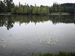 -白鹭湾湿地公园