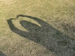 -上海滨江森林公园