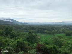 -海南霸王岭国家森林公园
