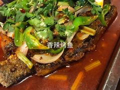 -金厨帽烤鱼(芦庄店)
