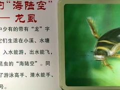 -上海昆虫博物馆